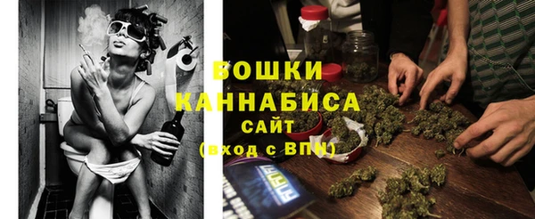 PSILOCYBIN Балахна